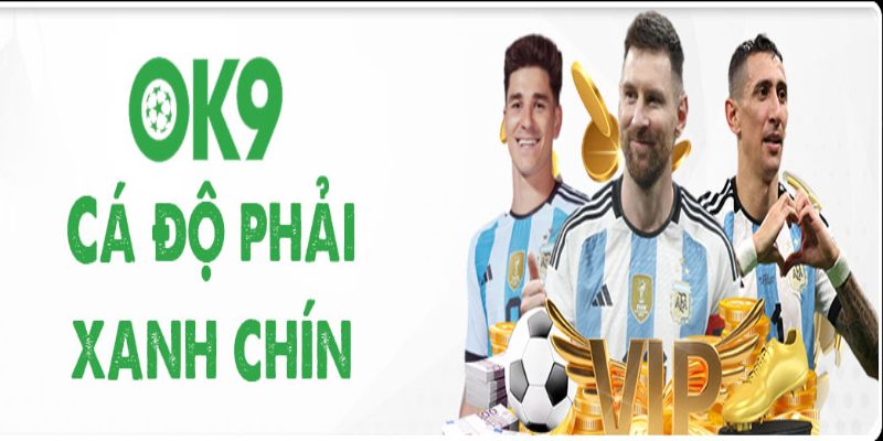 Thỏa mãn đam mê cược thể thao khi đến với Ok9