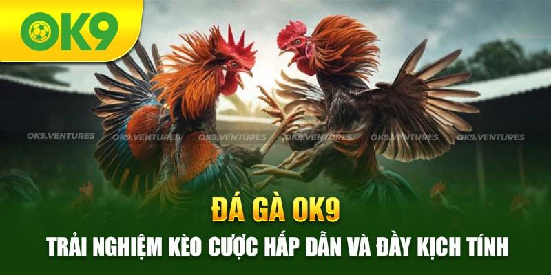 Các kèo đa dạng và hấp dẫn