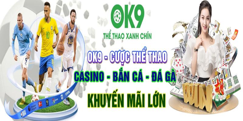 Vào mục tuyển dụng trên website ok9 để tìm việc